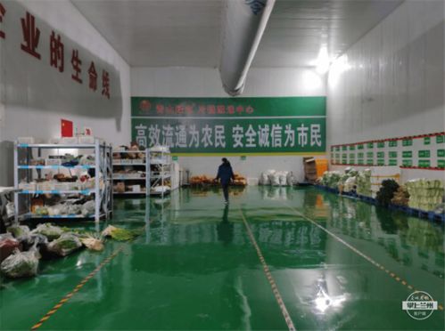 強化物流基礎設施，武威助力農特產品銷售出實招——農業企業托管服務創新模式