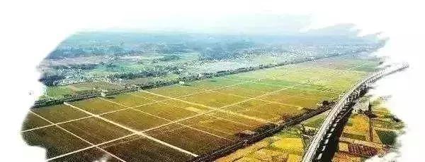 2019年四大農業產業項目補貼新政 先建后補，最高補貼達1億元