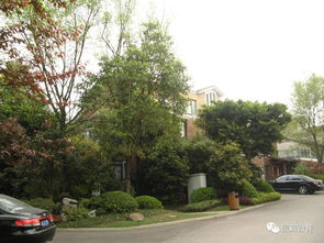 龍湖景觀 綠化施工3要點11關鍵