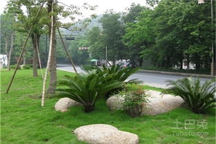 城市園林綠化工程施工及驗收規(guī)范 對城市發(fā)展的意義