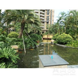 【工廠綠化養護、學校綠化養護、小區綠化養護修剪、園林綠化施工】-