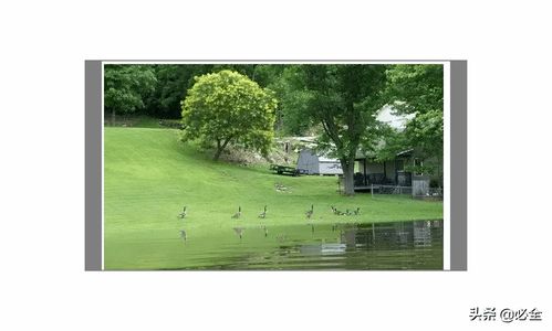 園林綠化工程中植物種植配置標準 收藏