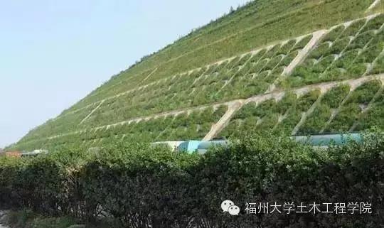 新技術 植生混凝土,讓建筑生機勃勃