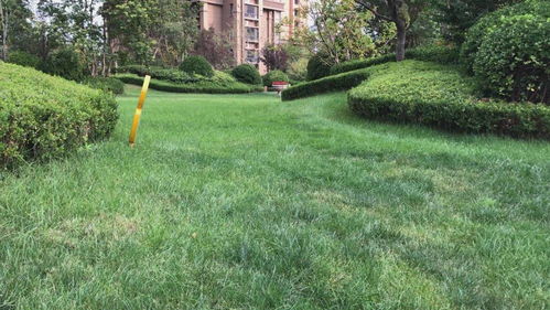 德州發布園林綠化種植土壤地方標準 為全省首例