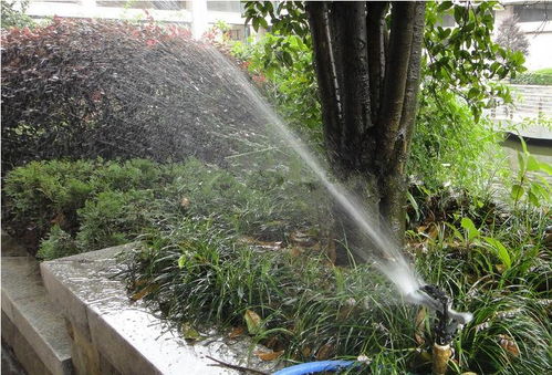 昆明考綠化工證及體育場地設施工程施工指南 難度、費用與準入解析