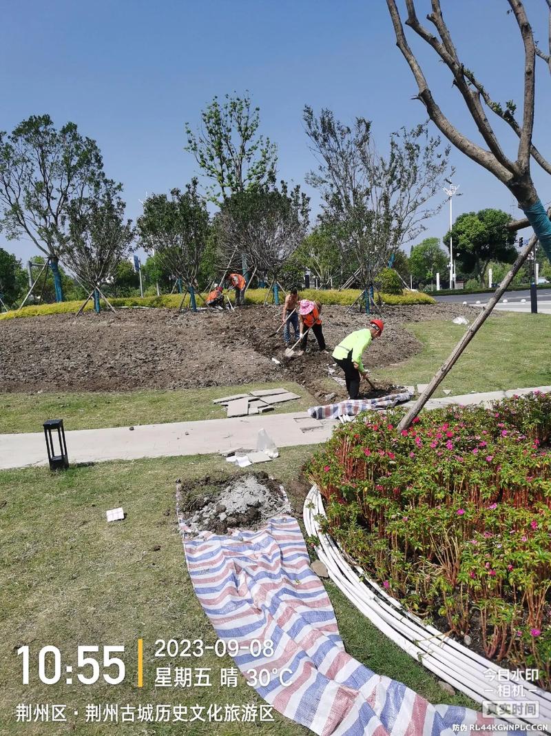 現場實拍 體育場地設施工程施工——景區建設中的園林綠化工程新篇章