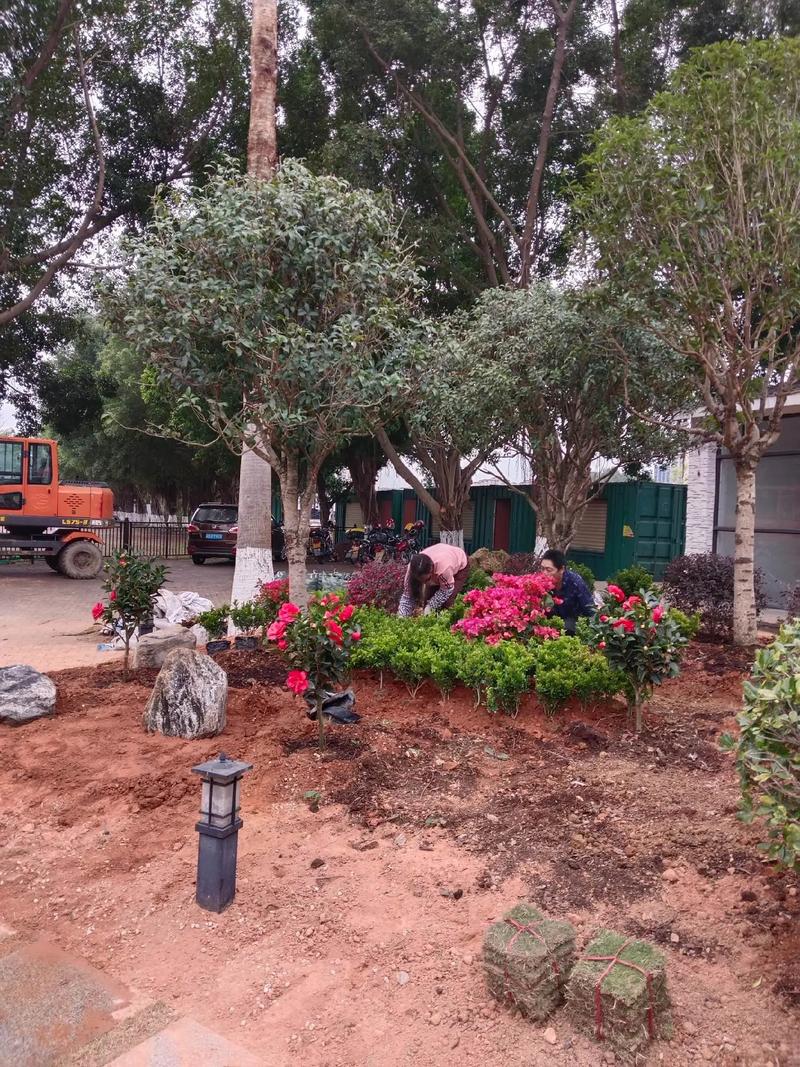 雙輪驅(qū)動城市活力 園林綠化與體育場地設(shè)施工程施工要點探析